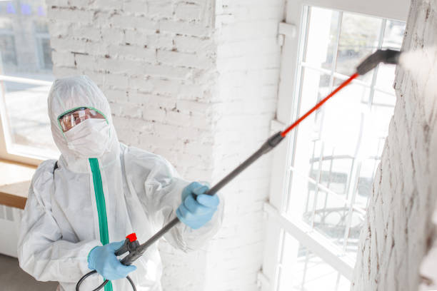 Best HVAC Mold Inspection and Cleaning  in Chester, WV