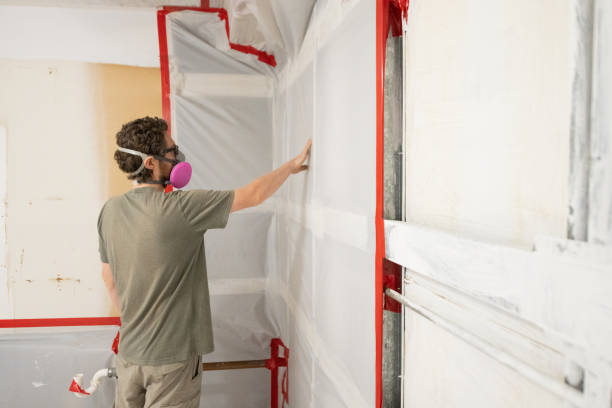 Best Forensic Mold Investigation  in Chester, WV