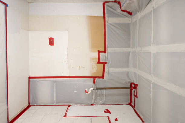 Best Water Damage & Mold Remediation  in Chester, WV