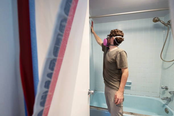 Dehumidification Services in Chester, WV