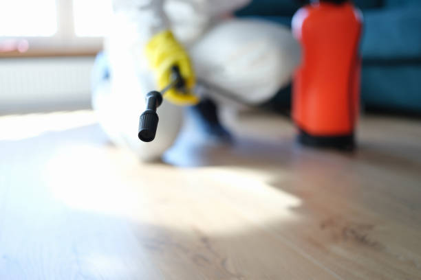 Best Indoor Air Quality Assessment  in Chester, WV