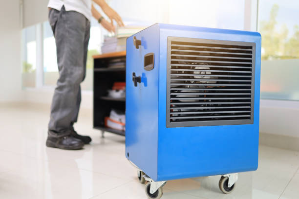Best Mold Documentation for Insurance Claims  in Chester, WV