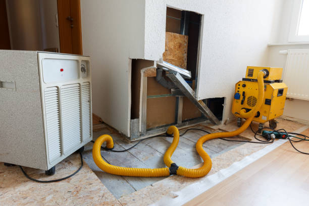 Best Mold Odor Removal Services  in Chester, WV