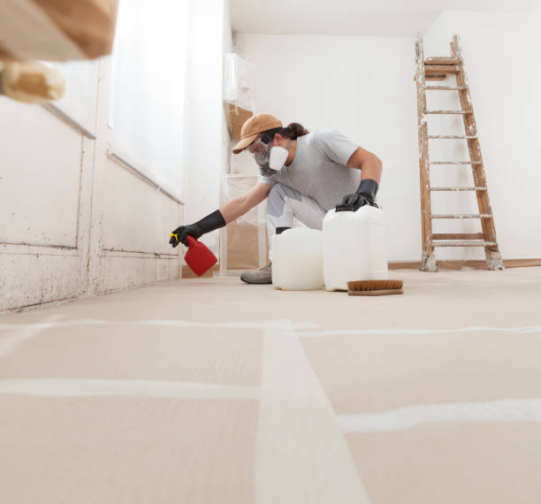 Best Mold Prevention Services  in Chester, WV