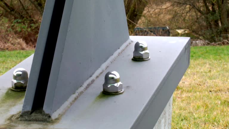 Best Environmental Consulting for Mold Prevention  in Chester, WV